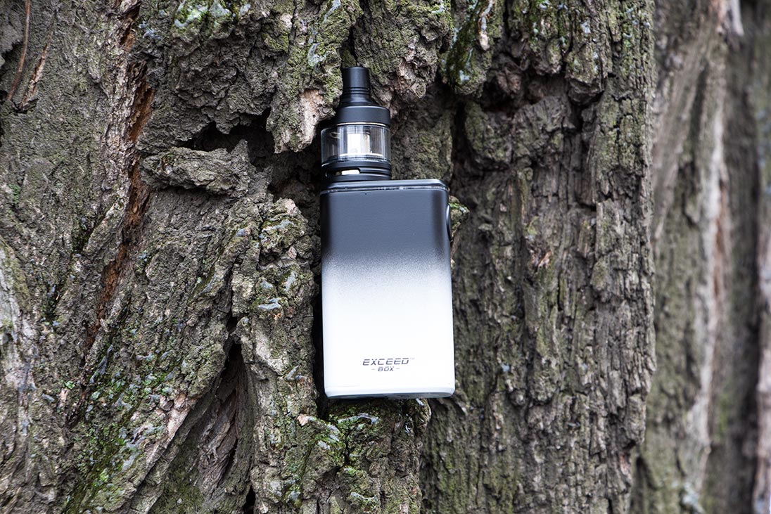 Joyetech Exeed Box with EXCEED D22C