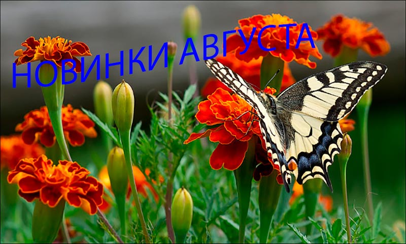 Новинки августа 2017
